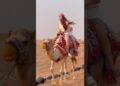 दुबई की शहज़ादी के अजीब शौक | Dubai Princess Sheikha Mahra || #shorts #sheikhamahra #dubai