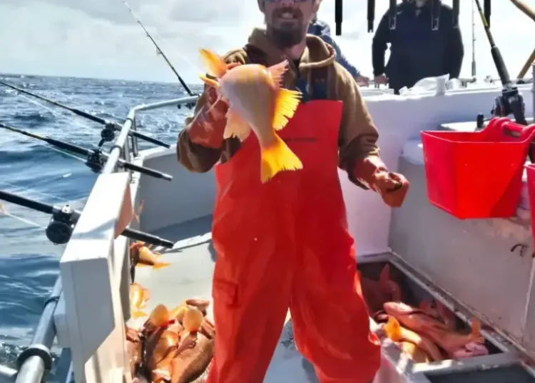 A causa oficial da morte da estrela de Deadliest Catch, Todd Meadows, foi revelada
