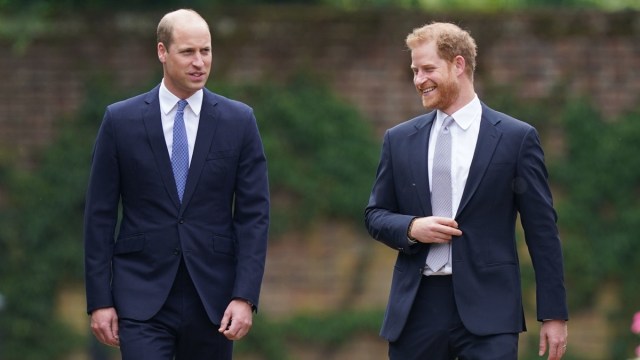 A reunião potencial do príncipe Harry e do irmão deixa a realeza 'ansiosa' - Fonte