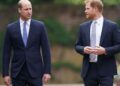 A tensão aumenta ao convidar os príncipes Harry e William para o casamento - especialista