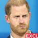 A visita de estado de King pode fazer com que Harry faça um movimento ‘surpreendente’ – Celebrity News – Entretenimento