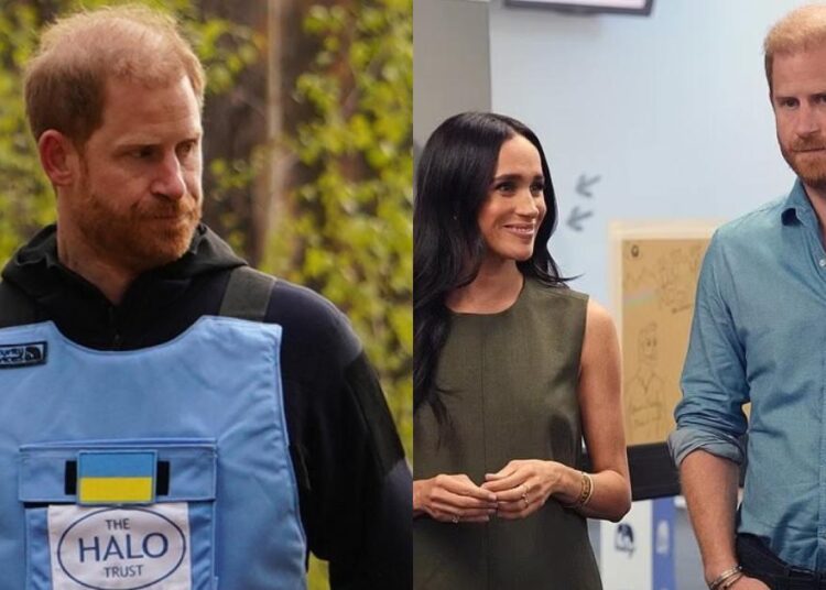 'Ainda real'? A observação do príncipe Harry destaca seu futuro com Meghan