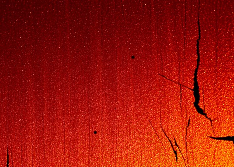 Alerta de nova música: Darryl Scotti e Big Yard lançam 'State of Mind'
