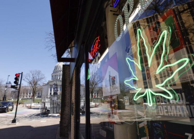 Cannabis stores on State Street face a hazy future | Entertainment