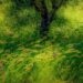 Comemore a 'Primavera!' na Galeria Crowell | Entretenimento