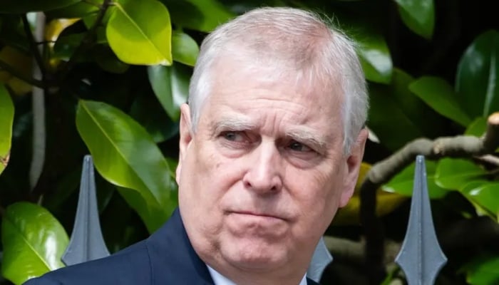 Controvérsia de Andrew destaca ‘separação’ entre membros seniores da Família Real