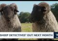 De olho no entretenimento: filme de detetives de ovelhas | Notícias