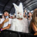 Destaques fotográficos do Festival de Música e Artes Coachella