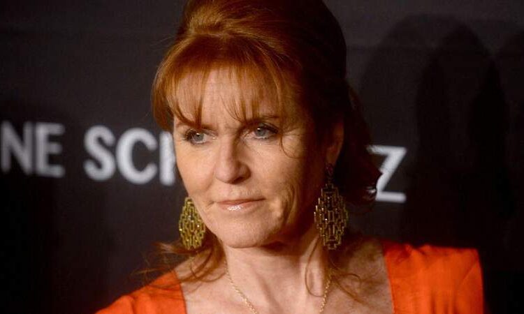 EXCLUSIVO: Sarah Ferguson alertou 'Não se preocupe' com o enredo de vingança real '-' Simplesmente não vale a pena no longo prazo '
