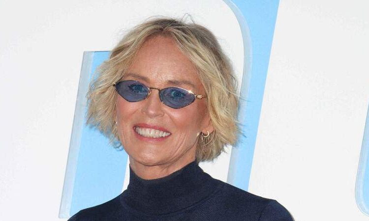 EXCLUSIVO: Sharon Stone 'So Scarred' por 'Exploitation' em 'Basic Instinct' Ela nunca consegue assistir a cenas atrevidas de filmes