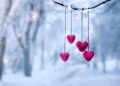 Red hearts on snowy tree branch in winter