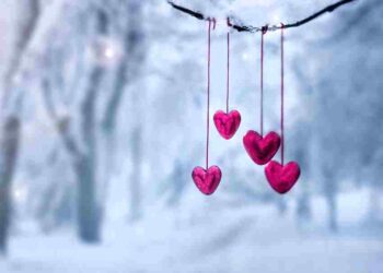 Red hearts on snowy tree branch in winter