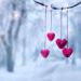 Red hearts on snowy tree branch in winter