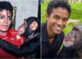 Filme de Michael: Conheça Bubbles, o filme de 48 anos de Jackson: Conheça Bubbles, o chimpanzé de 48 anos de Jackson e onde ele está agora? – Primeira postagem