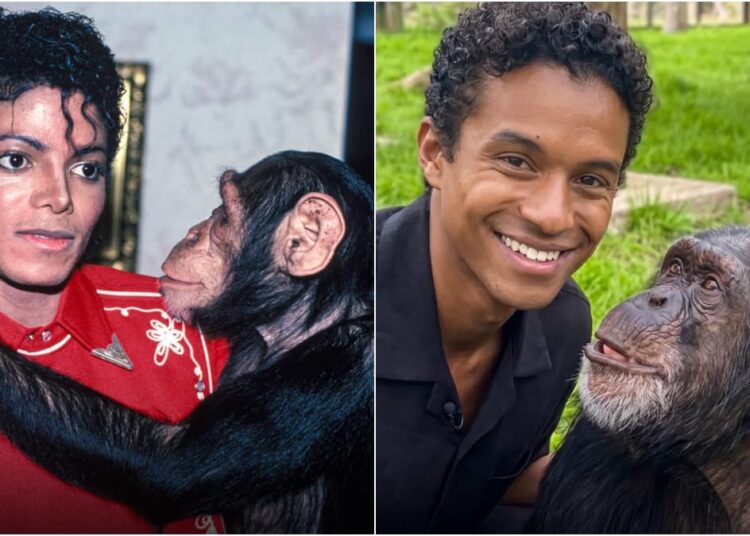 Filme de Michael: Conheça Bubbles, o filme de 48 anos de Jackson: Conheça Bubbles, o chimpanzé de 48 anos de Jackson e onde ele está agora? – Primeira postagem