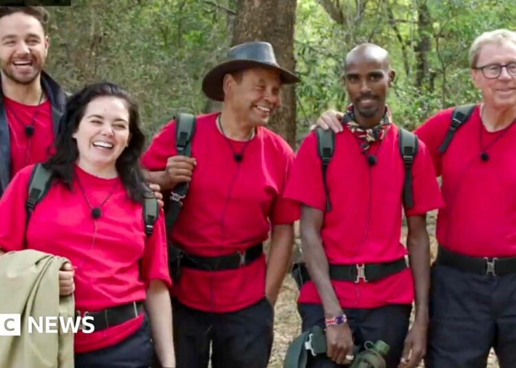 Final de I'm A Celebrity: Row começa quando 'lenda da selva' é coroada