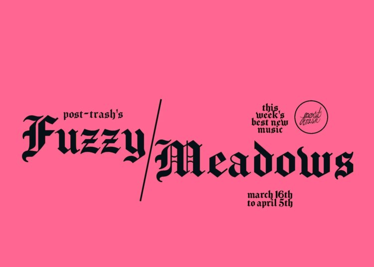 Fuzzy Meadows: as melhores músicas novas da semana (16 de março