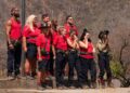 I'm A Celebrity foi interrompido quando o companheiro de acampamento saiu do julgamento de Bushtucker