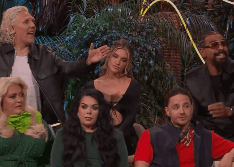 I'm a Celebrity South Africa Final irrompe no caos quando Ant e Dec entram em cena