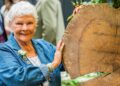 Judi Dench revela o motivo inesperado pelo qual ela não pode fazer jardinagem