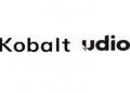 Kobalt é a mais recente empresa musical a assinar um acordo de IA com a Udio | Publicação