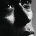 Leia o novo prefácio de Nas para a autobiografia de Miles Davis