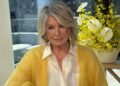 Martha Stewart rebate fã que a acusou de postar arranjos florais falsos: 'Onde no mundo?'