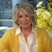 Martha Stewart rebate fã que a acusou de postar arranjos florais falsos: 'Onde no mundo?'