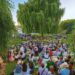 Música de verão no jardim