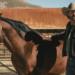 Nova música sexta-feira: Riley Green, ZAYN, Ethan Burdick, Kacey Musgraves e mais