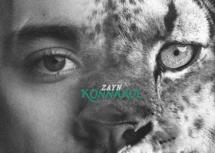 Novas músicas repetidas: Destin Conrad, Zayn, Kehlani e mais!