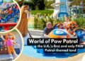 Novo terreno da Patrulha Canina abre em 3 de maio no Chessington World of Adventures