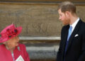 O apelido selvagem de quatro palavras da Rainha Elizabeth para o Príncipe Harry foi revelado depois que ele abandonou a família real