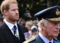 O apelo de cinco palavras do Príncipe Harry ao Rei antes de se casar com Camilla | Real | Notícias