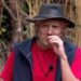 O caos de I'm A Celebrity quando o competidor desiste no meio do julgamento e uma briga acalorada irrompe