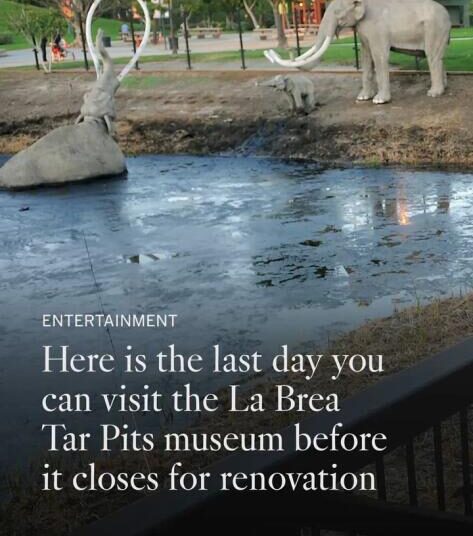 O museu La Brea Tar Pits fechará em julho para reformas