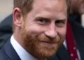 O príncipe Harry uma vez deixou o oficial de proteção real 'horrorizado'