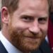 O príncipe Harry uma vez deixou o oficial de proteção real 'horrorizado'