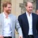 O príncipe William finalmente aceita os desafios que o príncipe Harry enfrentou na família real