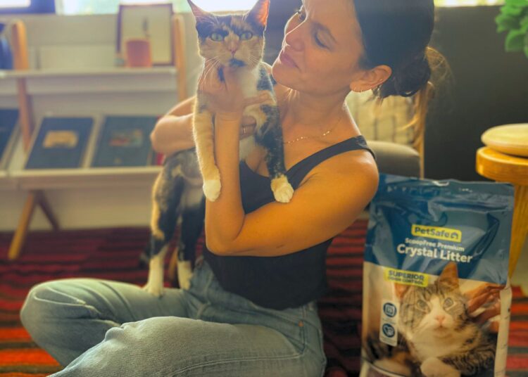 O truque inteligente de Rachel Bilson para acabar com a pior tarefa do animal de estimação