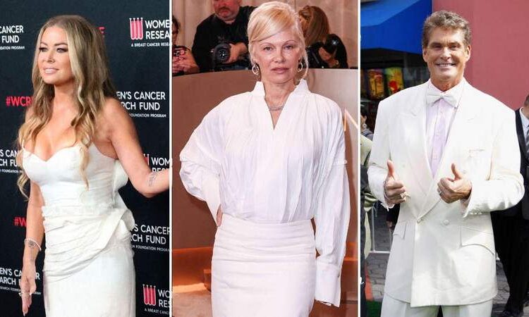 OK! Revela onde está o elenco original de 'Baywatch' hoje, enquanto uma nova equipe animada se alinha para a reinicialização do programa