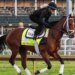 Onde comemorar o Kentucky Derby Day em Cape Cod