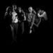Opus Kink compartilha nova música “The Head Tree” feat. As novas vésperas