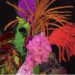 Ouça local: New Louisville Music – Derby Edition – LEO Weekly