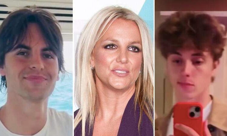 Período de reabilitação de Britney Spears desencadeado pela intervenção dos filhos: Cantora 'Dragged Feet' por tratamento até que Sean Preston e Jayden James deram a ela 'Ultimatum'