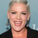 Pink será apresentadora do Tony Awards 2026 e reage a notícias surpreendentes com um vídeo engraçado | 2026 Tony Awards, Rosa, Tony Awards | Notícias e fofocas sobre celebridades | Entretenimento, fotos e vídeos