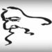 Preparando adda, música e memórias de Tagore durante o chá | Notícias de filmes de eventos