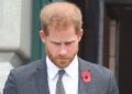 Prince Harry ‘did not have bad childhood,’ slams Royal expert