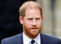 Príncipe Harry processado por instituição de caridade por difamação | Real | Notícias