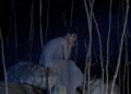 ROREY lança novo single/vídeo “Dying Fire”